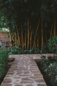 pexels mag photography 1501456 29145540